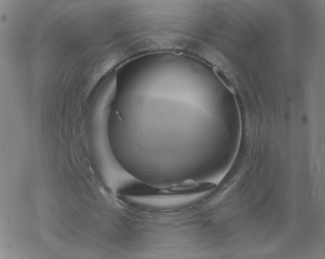X0000068860481200605121921