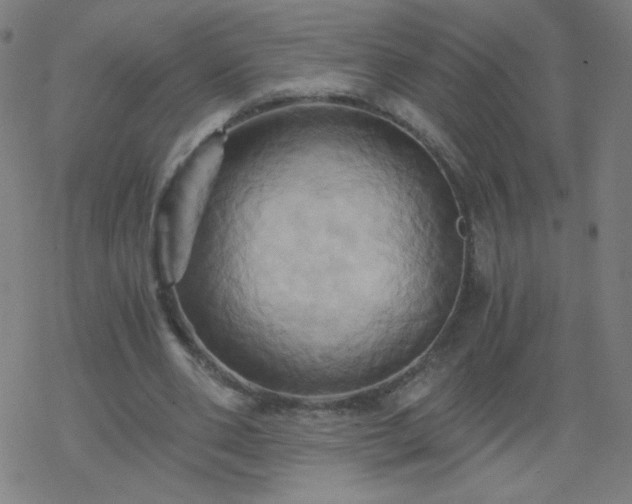 X0000068860486200605121921