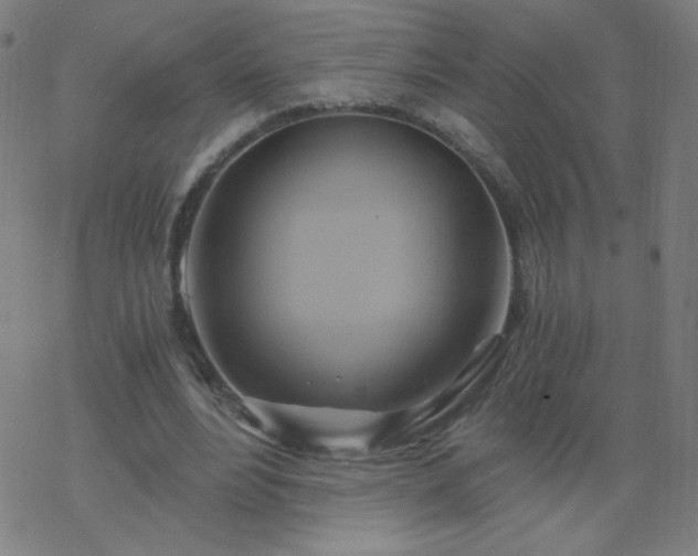 X0000068860488200605121921