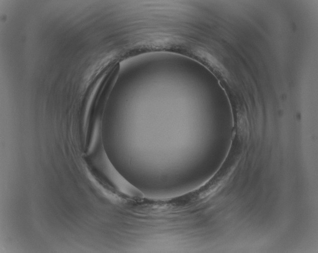 X0000068860493200605121921