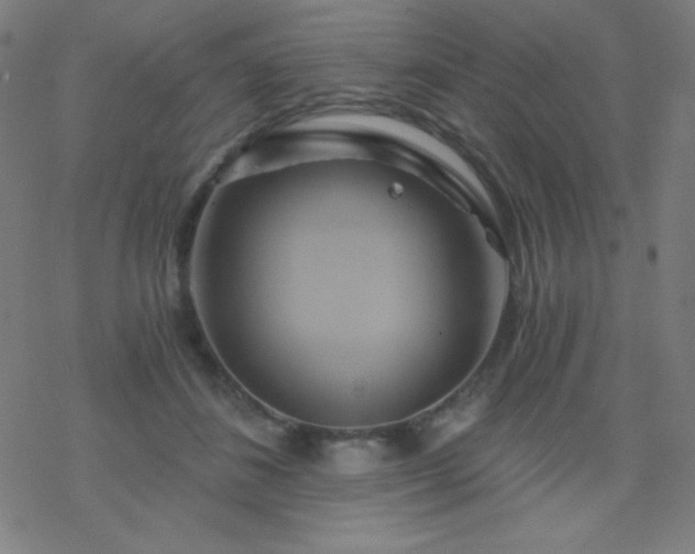 X0000068860508200605121920