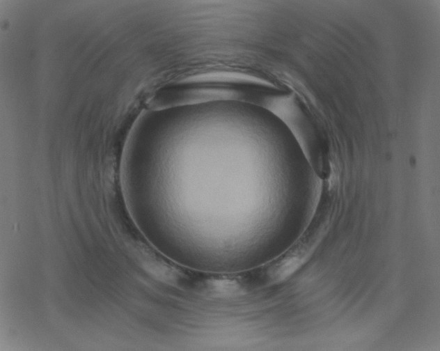 X0000068860509200605121920