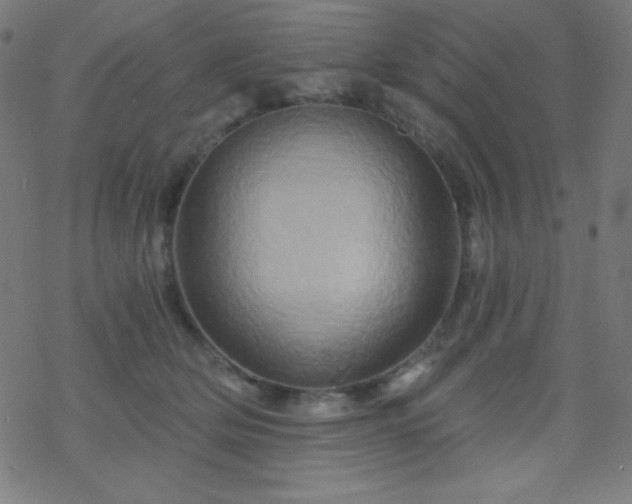X0000068860514200605121920
