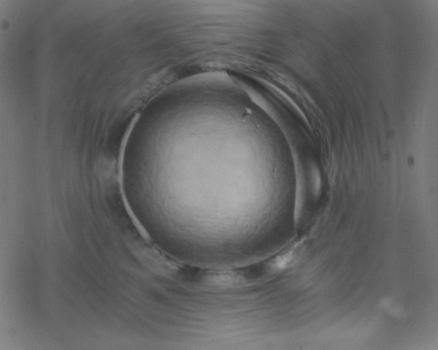 X0000068860521200605121920