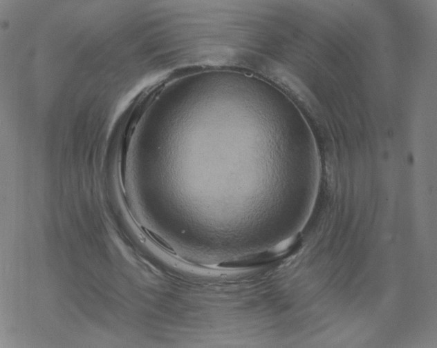 X0000068860532200605121919