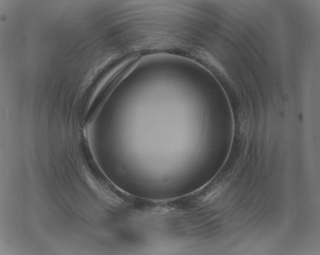 X0000068860542200605121919