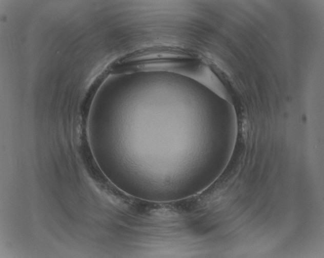 X0000068860544200605121919