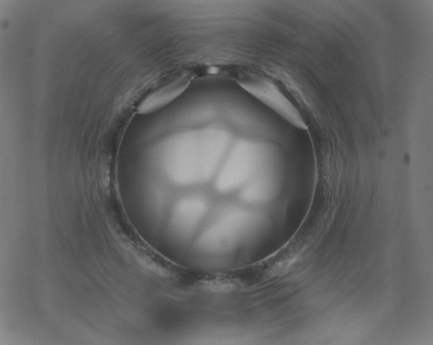 X0000068860545200605121919