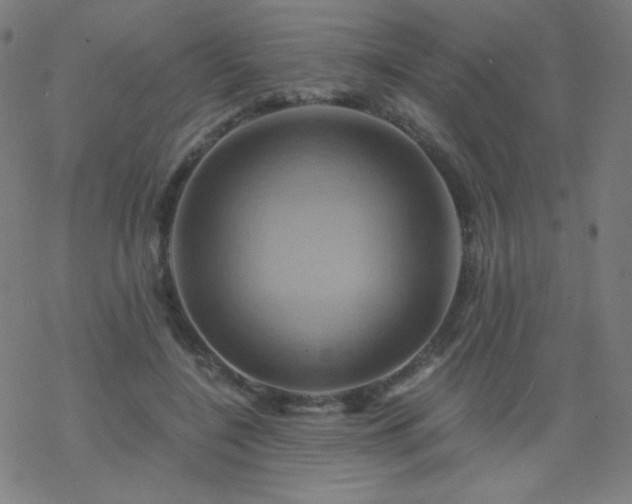 X0000068860548200605121919