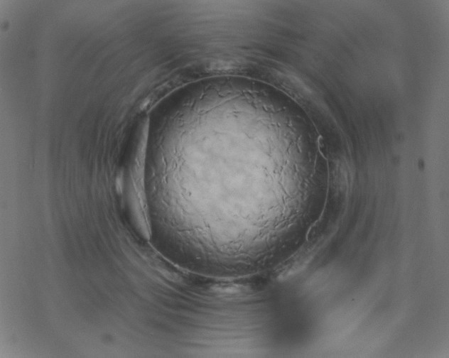 X0000068860557200605121920