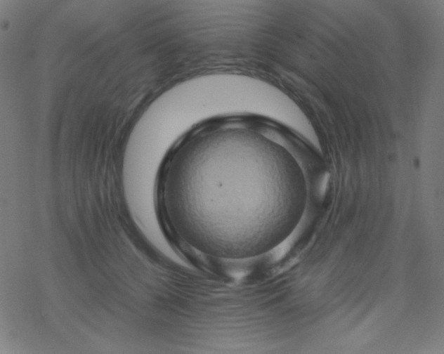 X0000068860560200605121920