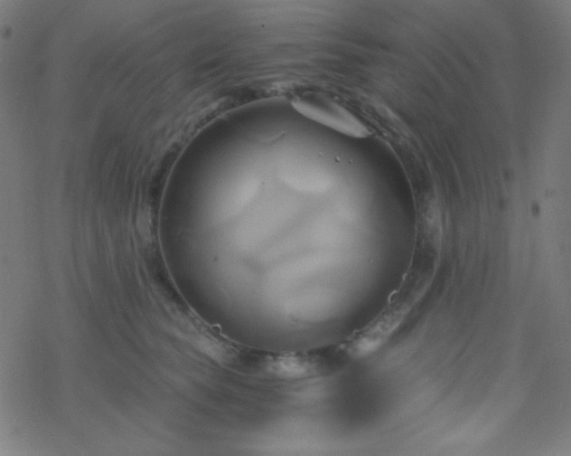 X0000068860565200605121920