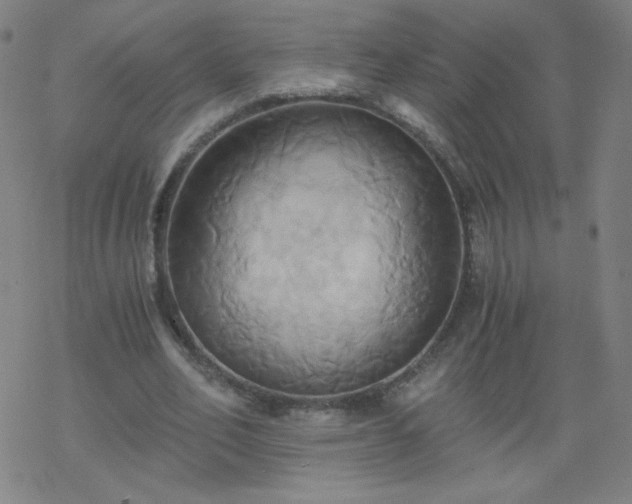 X0000068860582200605121919