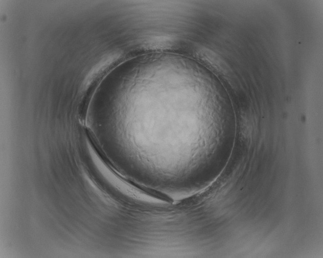 X0000068860586200605121919