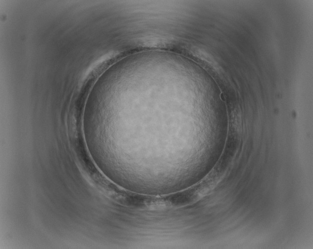 X0000068860587200605121919