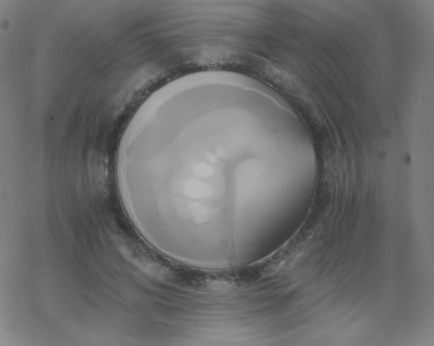 X0000068860592200605121919
