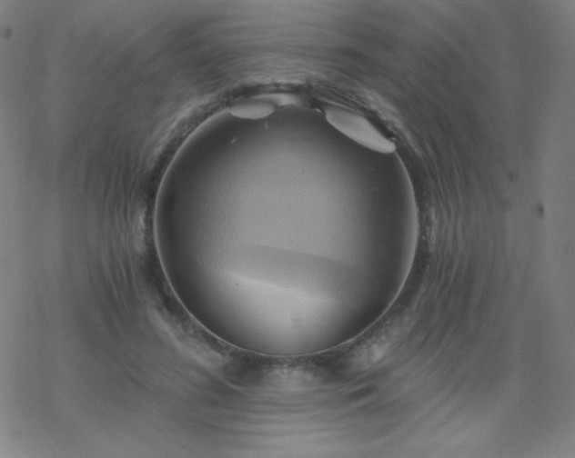 X0000068860596200605121919