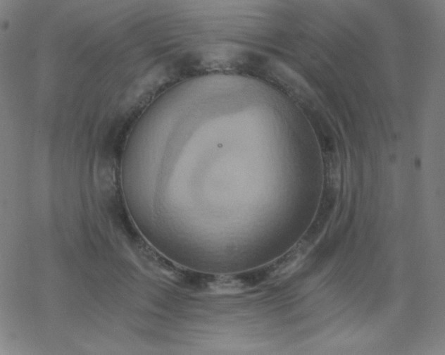 X0000068860603200605121919