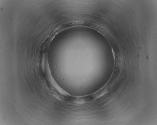X0000068860604200605121919