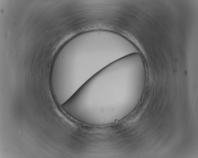 X0000068860625200605121918