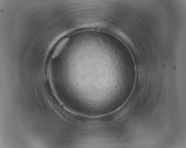 X0000068860628200605121918