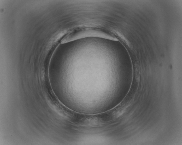 X0000068860631200605121918