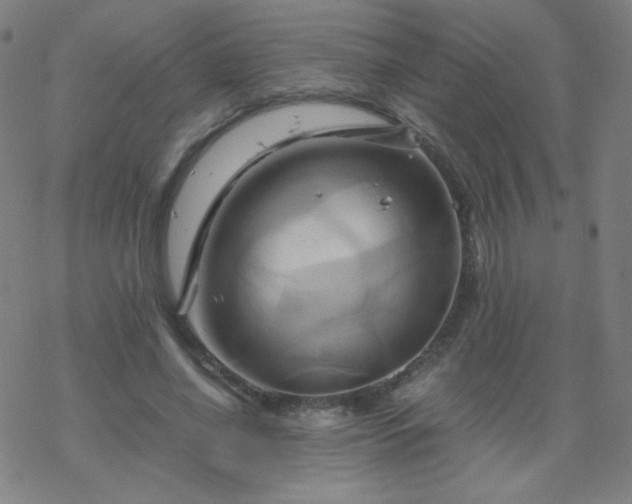X0000068860638200605121918