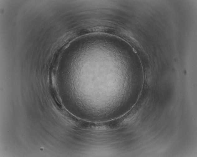 X0000068860645200605121918