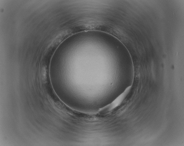 X0000068860646200605121918