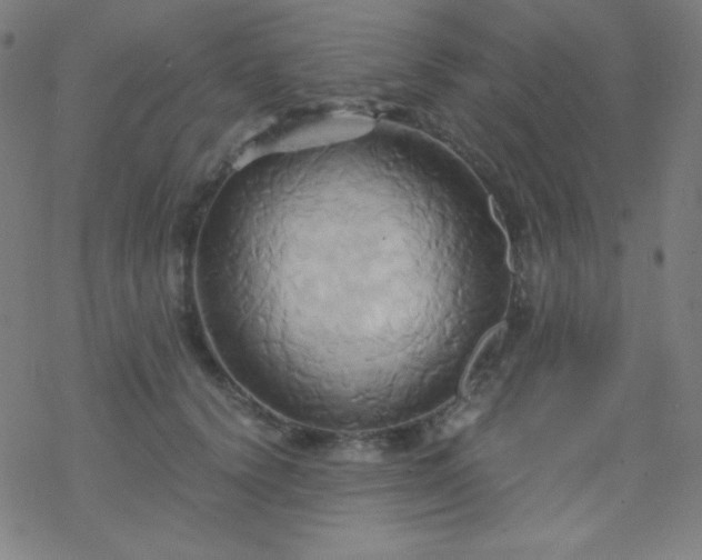 X0000068860656200605121918