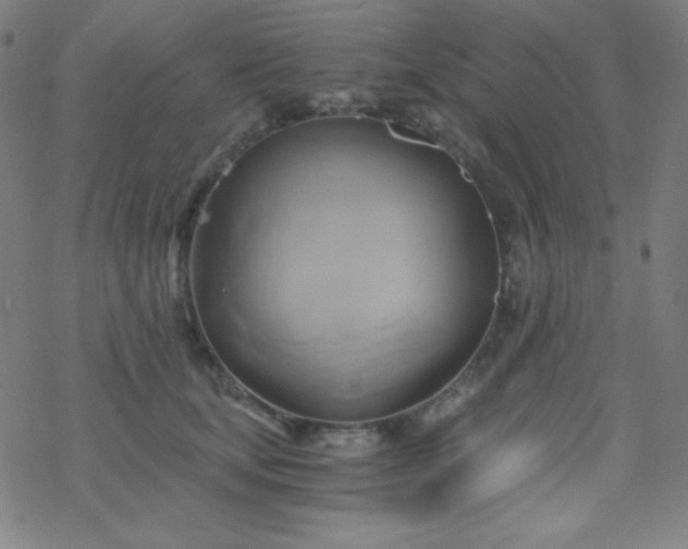 X0000068860659200605121918