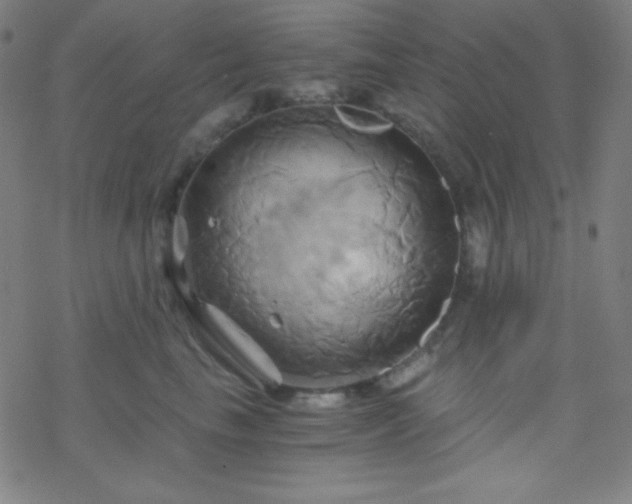 X0000068860665200605121918