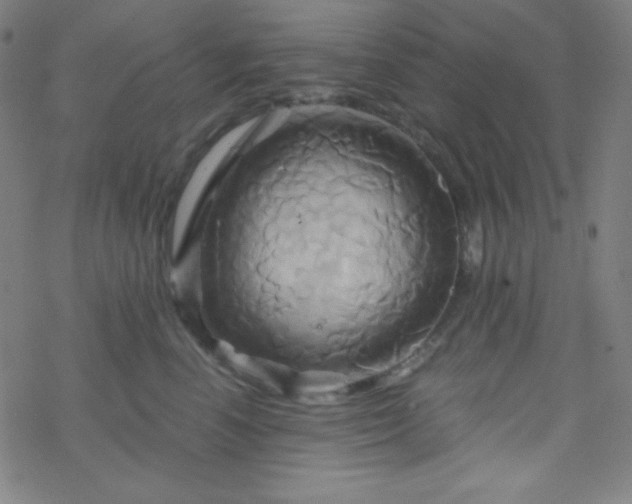 X0000068860666200605121918