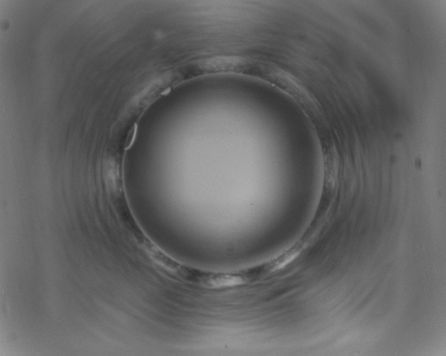 X0000068860669200605121918