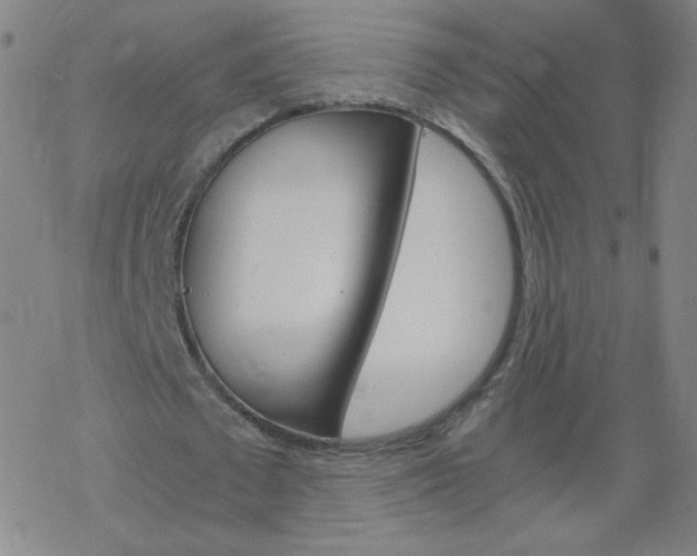 X0000068860673200605121917