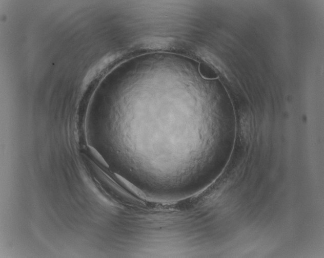 X0000068860682200605121917