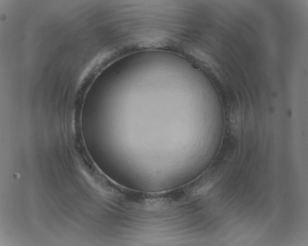 X0000068860686200605121917