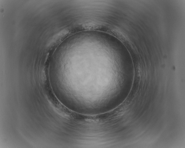 X0000068860690200605121917