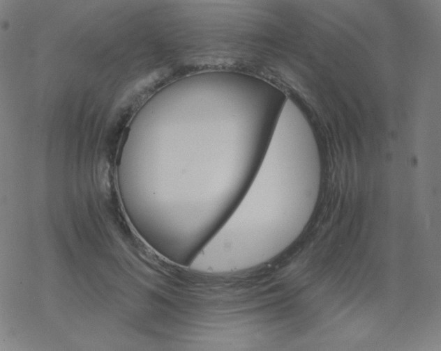 X0000068860692200605121917