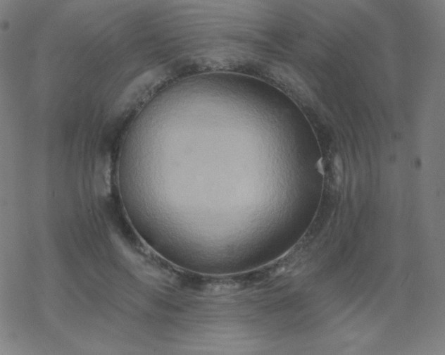 X0000068860694200605121917
