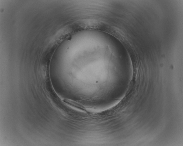 X0000068860695200605121917