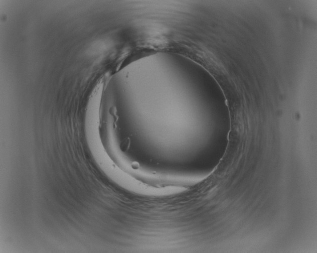 X0000068860697200605121917