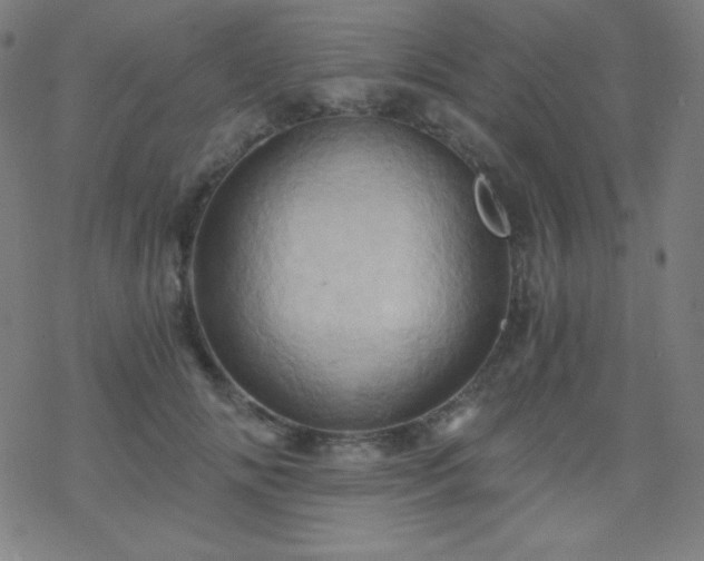 X0000068860702200605121917