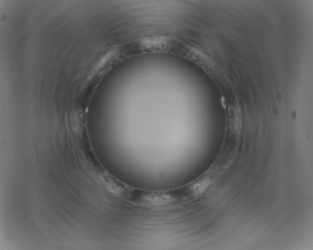 X0000068860712200605121917