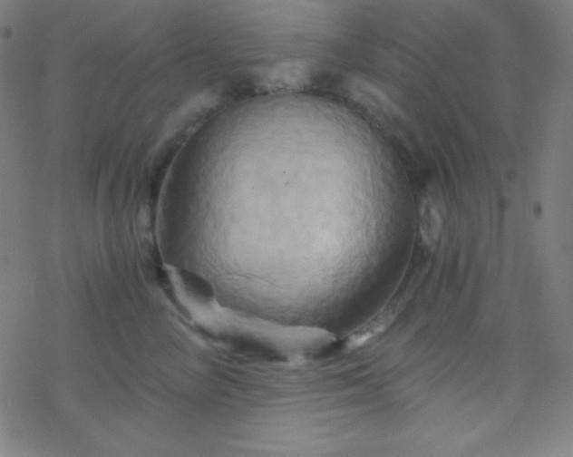 X0000068860714200605121917