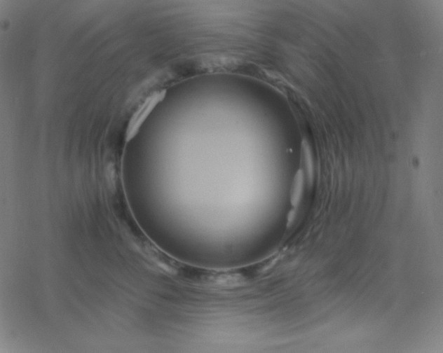 X0000068860716200605121917
