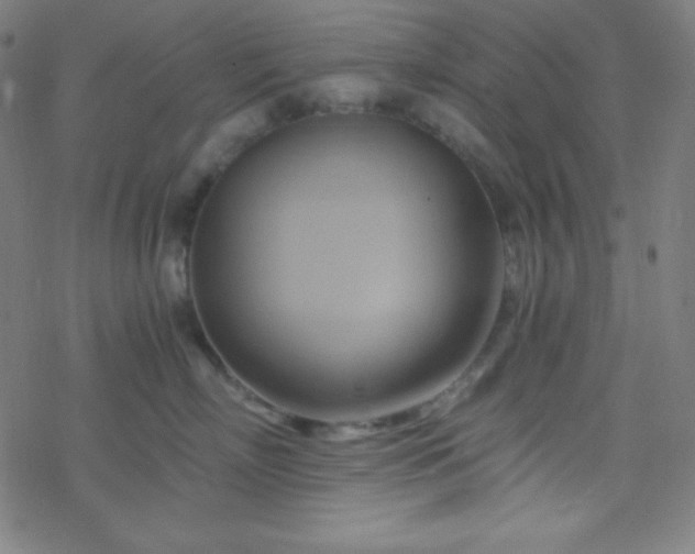 X0000068860718200605121917