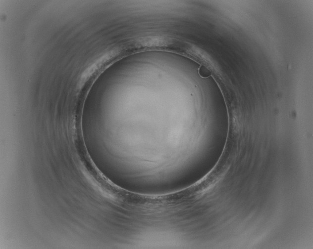 X0000068860725200605121916