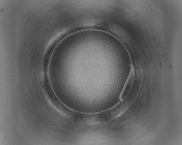 X0000068860728200605121916