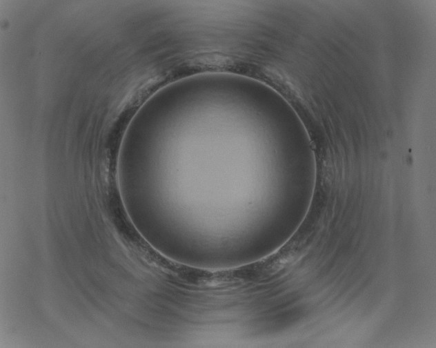X0000068860739200605121916